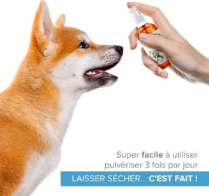 Argent Colloïdal Spray 100ML PETS