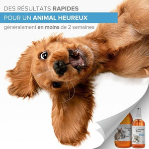 Argent Colloïdal Compte-Gouttes 100ML EAR