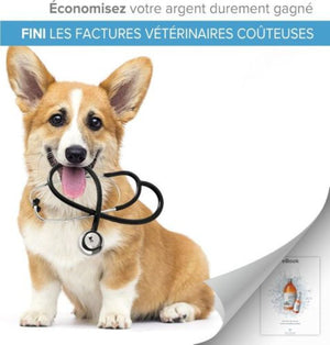 Argent Colloïdal 300ML PETS