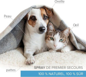 Argent Colloïdal 300ML PETS