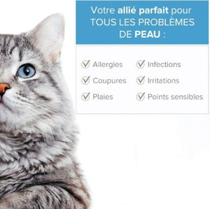 Argent Colloïdal 300ML PETS